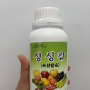 싱싱텃밭 | 식물영양제 친환경 액상 칼슘비료 '싱싱칼' 텃밭 작물 후기