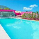 프라이빗핑크트리 이미지