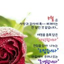 들마당 이미지