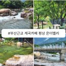 온더밸리 이미지