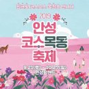 2019 안성 코스목동 축제 이미지