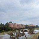 드르쿰다 | 제주 카페, 드르쿰다 제주 상효점 후기 — 숲 속 감성 + 여유로운 쉼표☕