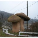 포동운동장 이미지