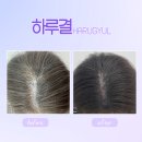 하루결