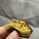 호키쿠키 이미지