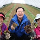 용진농협 로컬푸드직매장