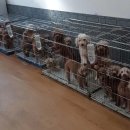 미용농장 이미지