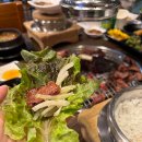 늘푸른정원 이미지