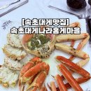 [속초대게맛집] 속초대게나라홍게마을 : 맛있는녀석들 방영 맛집