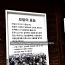 [여주맛집]tv가 쏘아올려 방문한,제주보말칼국수 후기