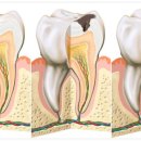 미래플란트치과의원 이미지