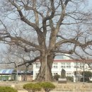 한재초교석불상 이미지