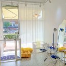 아이뽀 강아지미용실 이미지