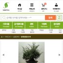 자평원