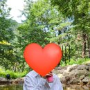 우산캠핑장 | 상주 우산 오토캠핑장/ 한여름 후기/ 근처 계곡/ 타코, 부산공항 낙곱새(내돈내산)
