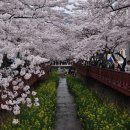 대산연구소