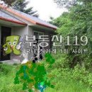 바래봉길 이미지