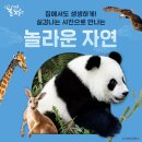 실감북스