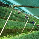 골안농장 이미지