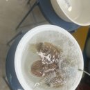 풍도공중화장실 | 풍도 백패킹