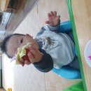 (주)조리쿡
