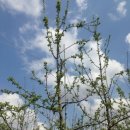 새천년농원 이미지