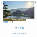 코스카cc | 충북 음성골프장 코스카cc 라운딩 솔직 후기 완벽한 잔디 최악의 캐디