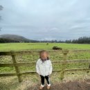 기선목장 이미지