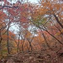 삼각산 ＜북한산탐방입구~용학사삼거리~태고사~대동문~소귀천계곡＞ 이미지