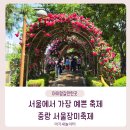 태릉 버스정류장(11148) | 서울 장미명소 추천, 중랑 장미축제 다녀온 후기