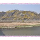 대흥전철역 4번출구 이미지