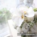 서동카써비스 이미지