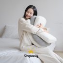 웰리더
