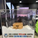 K&D 스포츠(제주점) | [공지] 서귀포 안덕면 어린이 수영장, 강사가 솔직하게 생각하는 K&amp;D 수영장의 장단점