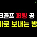 파크골프 퍼팅 공 똑바로 보내는 방법 교육 동영상 이미지