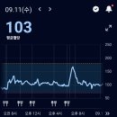 CGM 10일차 : 무채혈연속혈당측정기 덱스콤 파스타 최종 후기 [청주다이어트한의원]
