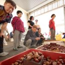 강진읍시장 이미지