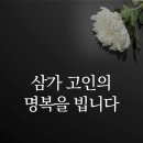 멕시코 4강 신화 ‘고독한 승부사’ 박종환 감독, 별세 이미지