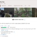 마켓라인 이미지