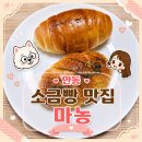 안동발효햄 | 안동 마농 소금빵 내돈내산 솔직후기