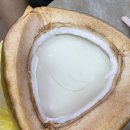 테레사스필리피노레스토랑 | 말레이시아 코타키나발루 내돈내산 맛집 리스트#2(신키바쿠테, 마마시타, 알프레스코, 관스코피디암...
