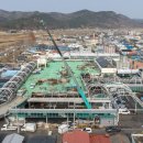 영덕시장 이미지