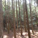 남원읍-63 이미지