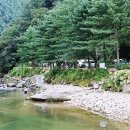 산정호수돌고래캠핑장;관광농원 이미지