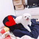 콩덕이(다현이) 오랜만이에요~~ㅠㅠ(사진 많아요) 이미지