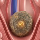 분당연세비뇨의학과의원 이미지