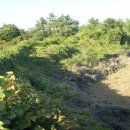 고성리-6 이미지