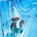 페스티벌2 이미지