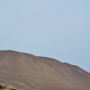 바다로마트(복합) | [남미 여행 4일차] 페루의 갈라파고스 파라카스 바예스타섬 투어 펭귄과 바다사자 만난 날