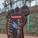 의료근린공원 이미지